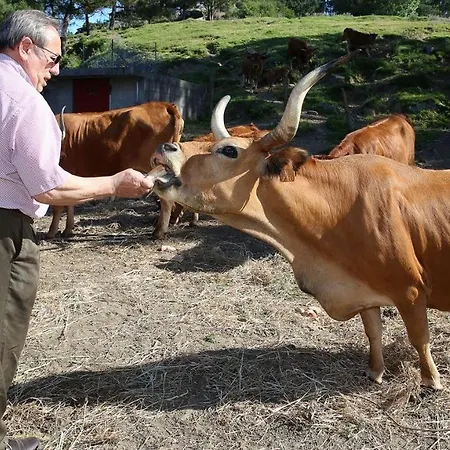 Vazquez La Lanzada Casa rural