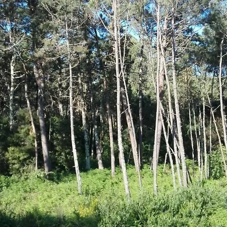 Vazquez Sanxenxo La Lanzada *