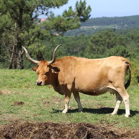 Country house Vazquez Sanxenxo La Lanzada