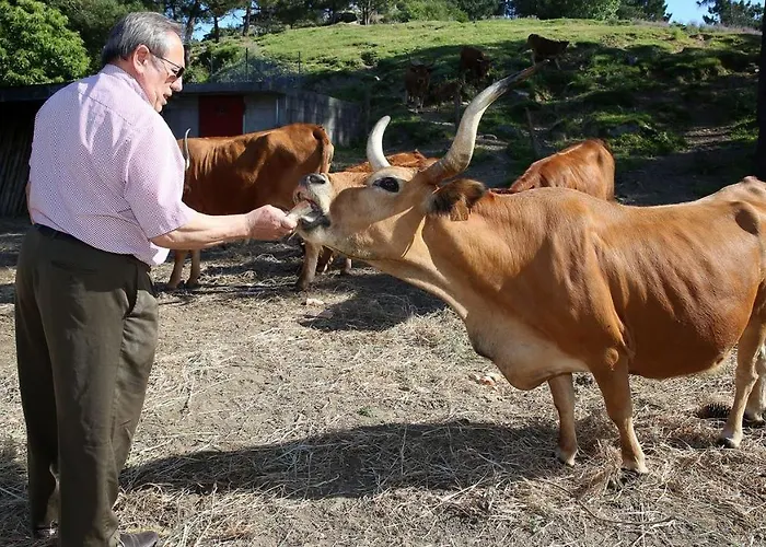 Vazquez Sanxenxo La Lanzada Εξοχικό σπίτι