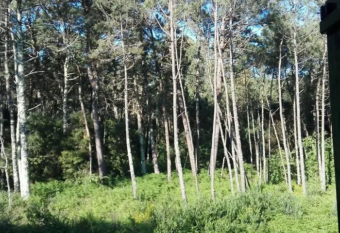 Vazquez Sanxenxo La Lanzada *