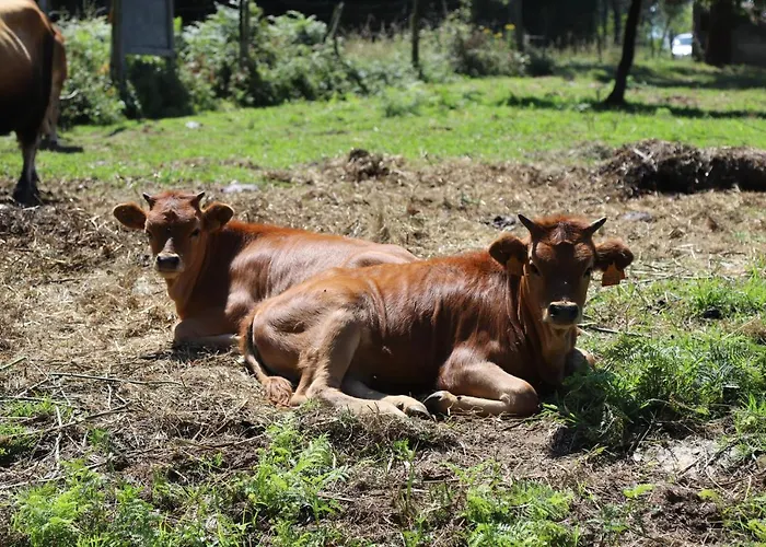 Vazquez Sanxenxo La Lanzada Εξοχικό σπίτι